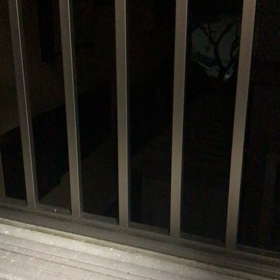 雪が降ってきましたの画像