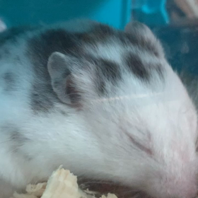 梅雨入りの画像