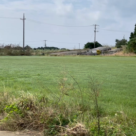 風が吹いている♬の画像