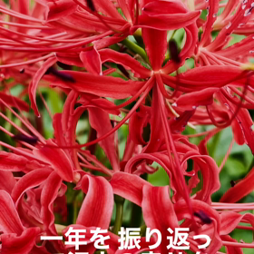 2021年ありがとうございましたの画像