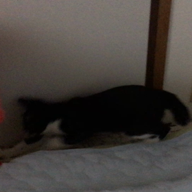 ななちゃん✩°｡⋆の画像