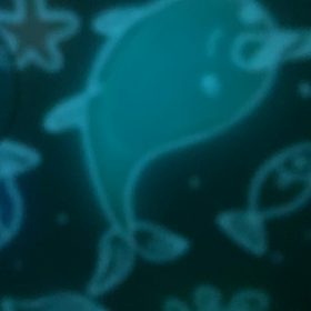 楽しみな夜の画像