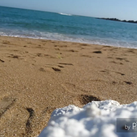 海水浴旅行の画像