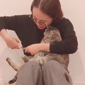 猫の爪切り。の画像