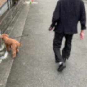 スタスタ歩く高度認知症（動画あり）の画像