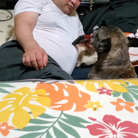 あそんでよの画像