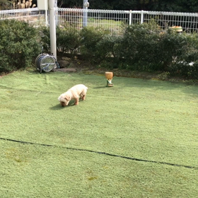 今日はニットの日の画像