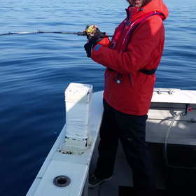 本日の動画その2の画像