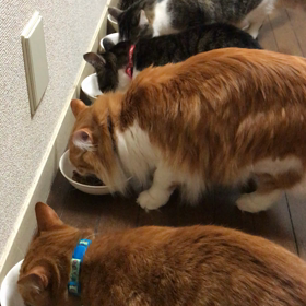 少し早めのディナータイム☺️の画像