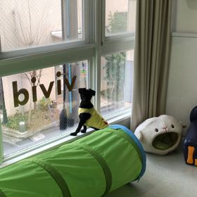 ♪年末年始のプレイルーム動画♪④の画像