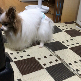 狭い範囲での画像