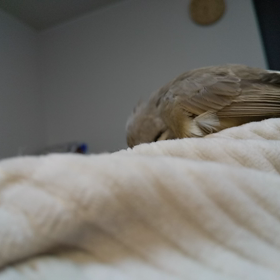 変わらない毎日の画像