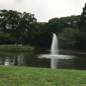 ♪お散歩動画♪代々木公園♪の画像