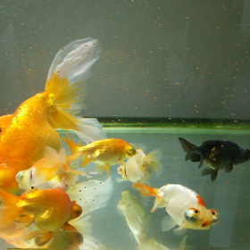 もしも、あの時。の画像