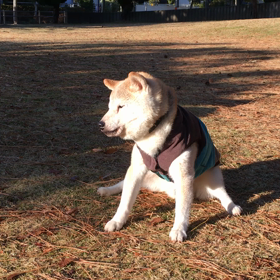 2018年 始まりました ☆の画像