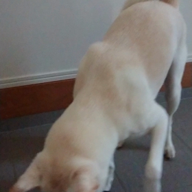 靴下が好き。手袋も好き。の画像