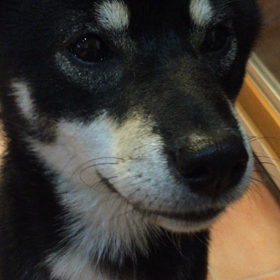 しゃべれるかっ！の画像