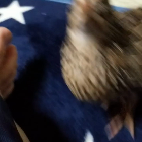 トォー❗の画像