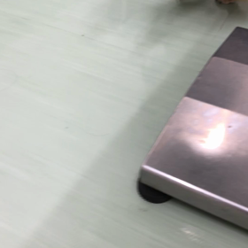 動画を撮ってみましたの画像