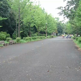 9月21日 100mBグループ④の画像