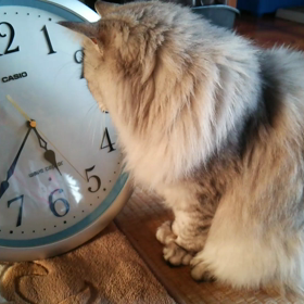 ひとり遊びの画像