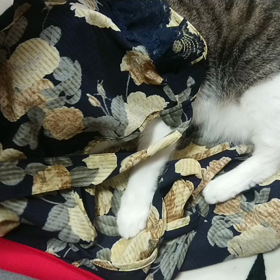 ☆くぅ復活☆の画像