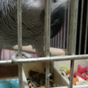 それぞれ食いしん坊(*≧∀≦*)の画像