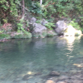 涼を求めて！  異常な人と車の画像