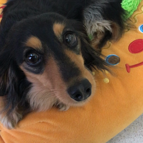 ♪プレイルーム動画♪②の画像