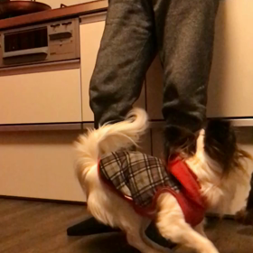 凄いジャンプです。の画像