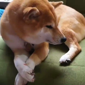 流行りに乗っかり過ぎ（≧∇≦）の画像