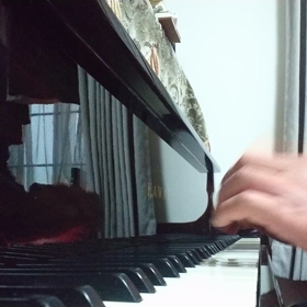 2019  ～おたけ ふんじゃった～の画像