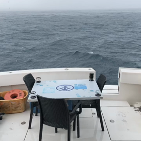 寒さ知らず！海人石垣島の画像