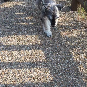 ファンタ君の基本情報ですの画像