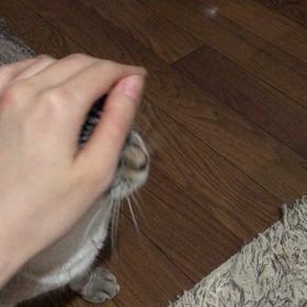 大好き(短時間)の画像