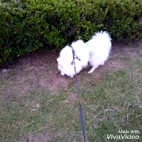 明日も暑くなりそう(^-^)の画像