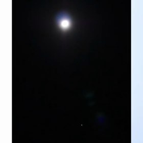 心は、不思議と、感謝の気持ちに　♡  2024年13本の画像