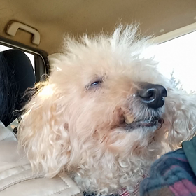 居眠り、万理菜の画像