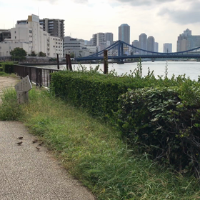 隅田川沿いの画像