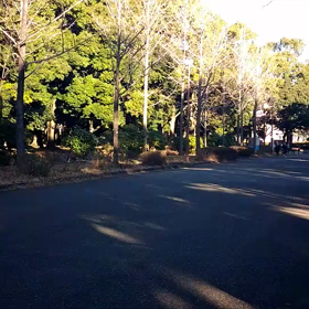 越谷春季記録会リレー選考会(女子)①の画像