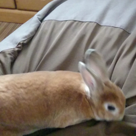 朝から元気の画像