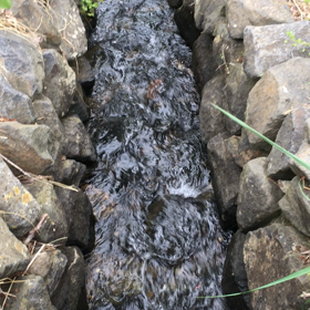 切り取った時間の画像