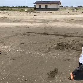 【感動】の画像