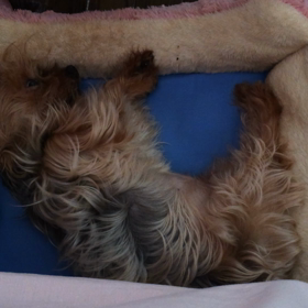 独り占めの画像