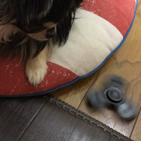 ハンドスピナーの画像