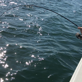 また、来たっ！？の画像