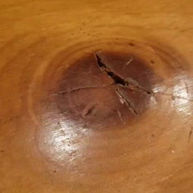 『まさかの演出に、癒やされる。』の画像