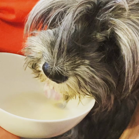 【今朝のひみい】の画像