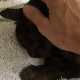 ダディくん、元気になあれの画像