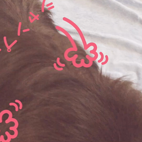 愛い愛いの画像